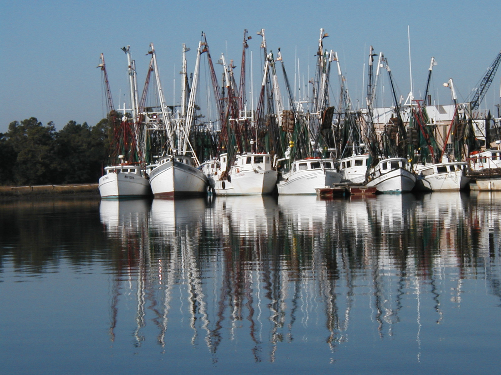 Community « McClellanville Real Estate