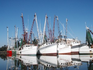 p1010029